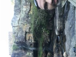 2021-06-05 e 6 FORMEX 1